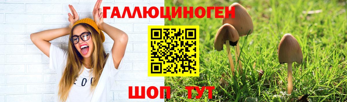 Галлюциногенные грибы GOLDEN TEACHER Новосибирск