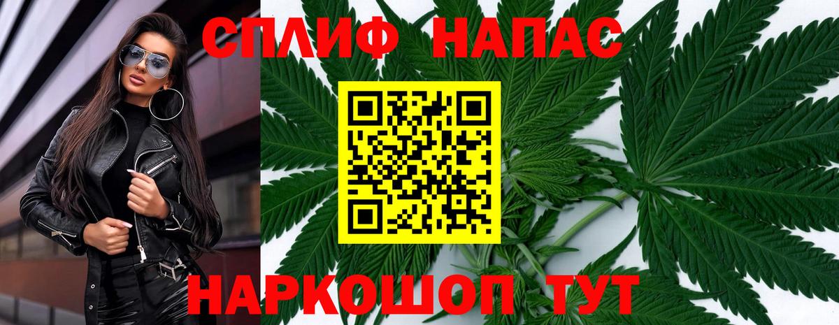 Бошки Шишки семена Новосибирск